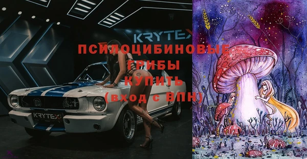 МДПВ Алексин
