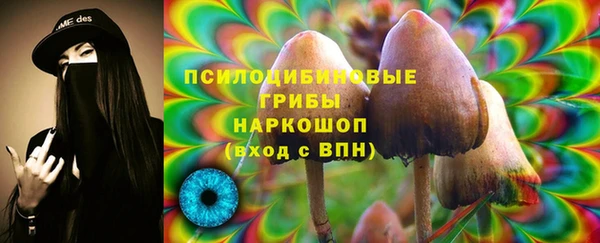 МДПВ Алексин